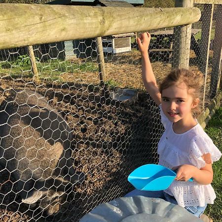 Willow Court Farm Studio South & Petting Farm, 8 Mins From Legoland & Windsor, 15 Mins From Lapland Uk Екстериор снимка