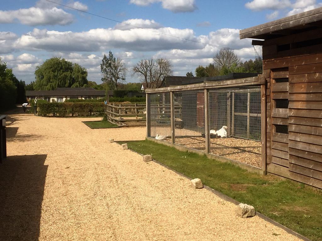 Willow Court Farm Studio South & Petting Farm, 8 Mins From Legoland & Windsor, 15 Mins From Lapland Uk Екстериор снимка