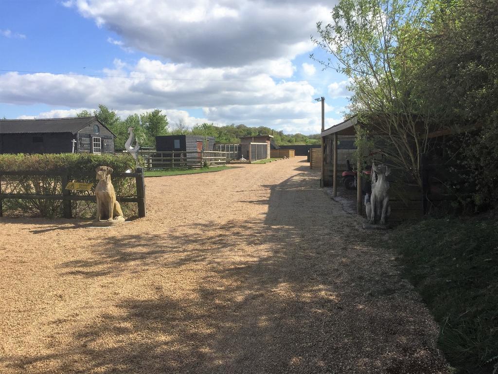 Willow Court Farm Studio South & Petting Farm, 8 Mins From Legoland & Windsor, 15 Mins From Lapland Uk Екстериор снимка