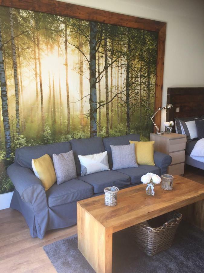 Willow Court Farm Studio South & Petting Farm, 8 Mins From Legoland & Windsor, 15 Mins From Lapland Uk Екстериор снимка
