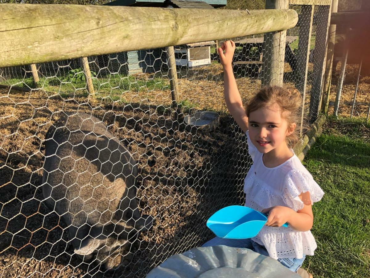 Willow Court Farm Studio South & Petting Farm, 8 Mins From Legoland & Windsor, 15 Mins From Lapland Uk Екстериор снимка