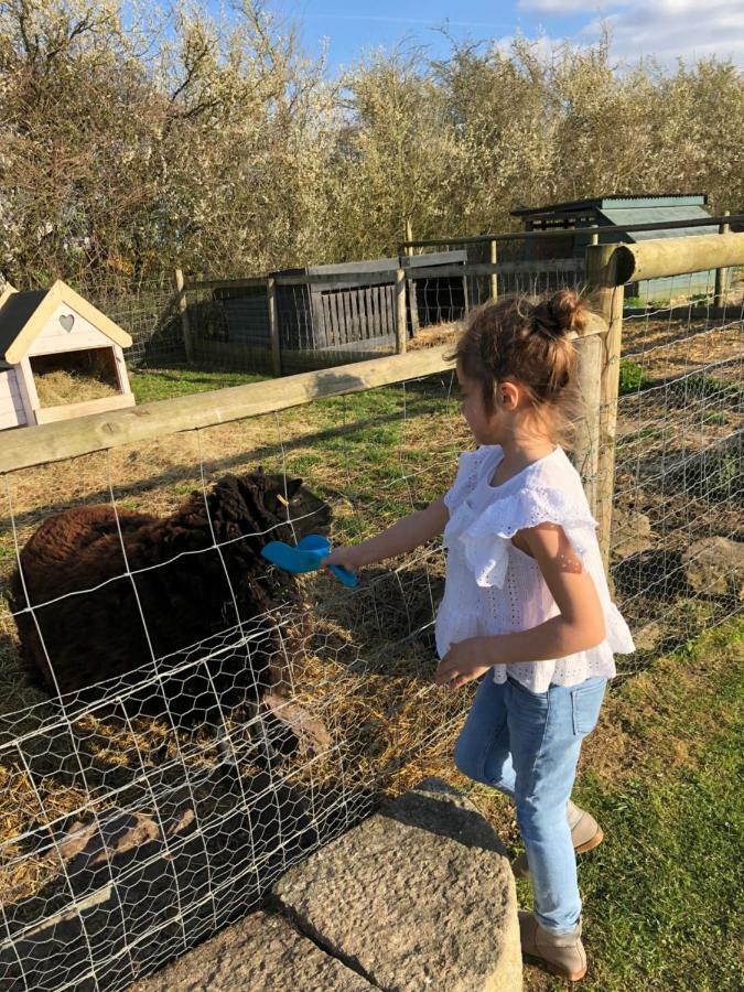 Willow Court Farm Studio South & Petting Farm, 8 Mins From Legoland & Windsor, 15 Mins From Lapland Uk Екстериор снимка
