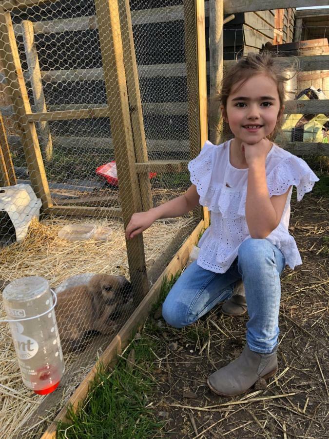 Willow Court Farm Studio South & Petting Farm, 8 Mins From Legoland & Windsor, 15 Mins From Lapland Uk Екстериор снимка