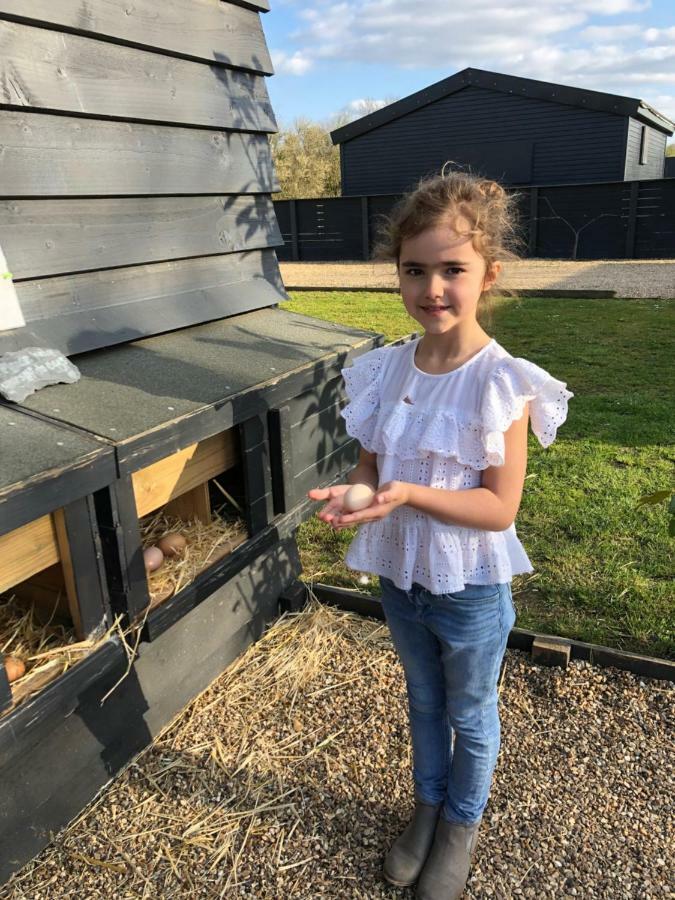 Willow Court Farm Studio South & Petting Farm, 8 Mins From Legoland & Windsor, 15 Mins From Lapland Uk Екстериор снимка