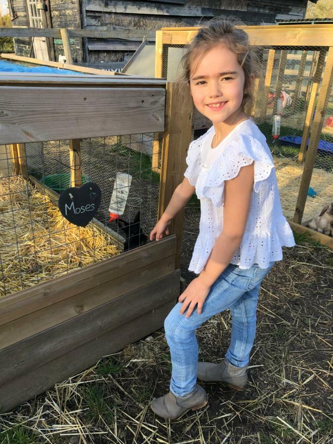 Willow Court Farm Studio South & Petting Farm, 8 Mins From Legoland & Windsor, 15 Mins From Lapland Uk Екстериор снимка